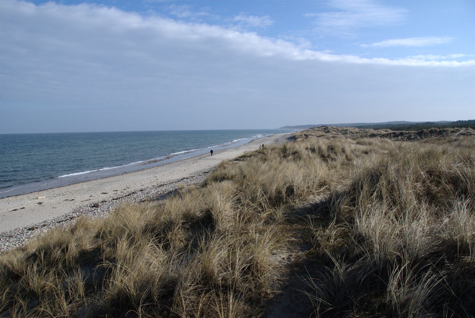 Strand, klitter og marehalm på kysten ved Liseleje