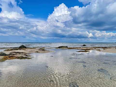 Sommerhus til 8 personer i Hornbæk – billede 64