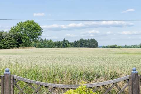 🌿 Peaceful Countryside Views
Enjoy the open fields and tranquil surroundings right outside the cabin. 👌