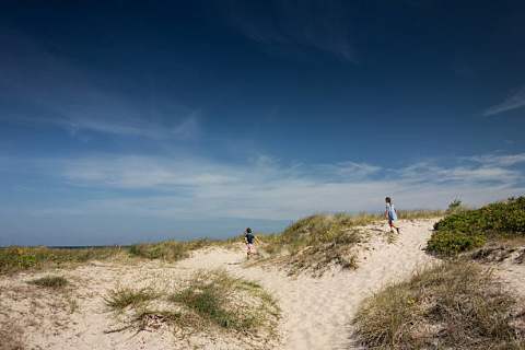 Sommerhus til 6 personer i Hornbæk – billede 56