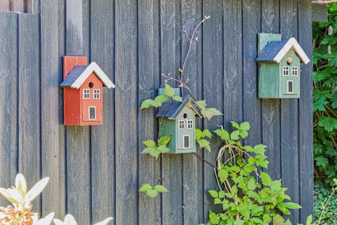 Sommerhus til 8 personer i Dronningmølle – billede 12