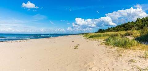 Sommerhus til 5 personer i Vejby – billede 43