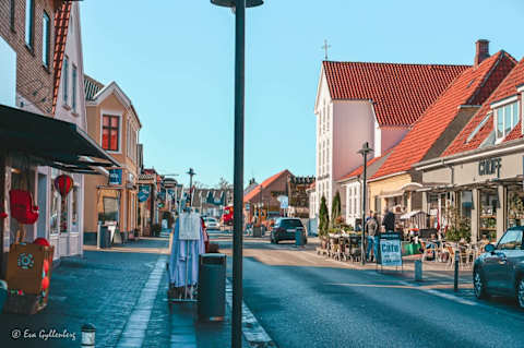 Sommerhus til 8 personer i Dronningmølle – billede 71